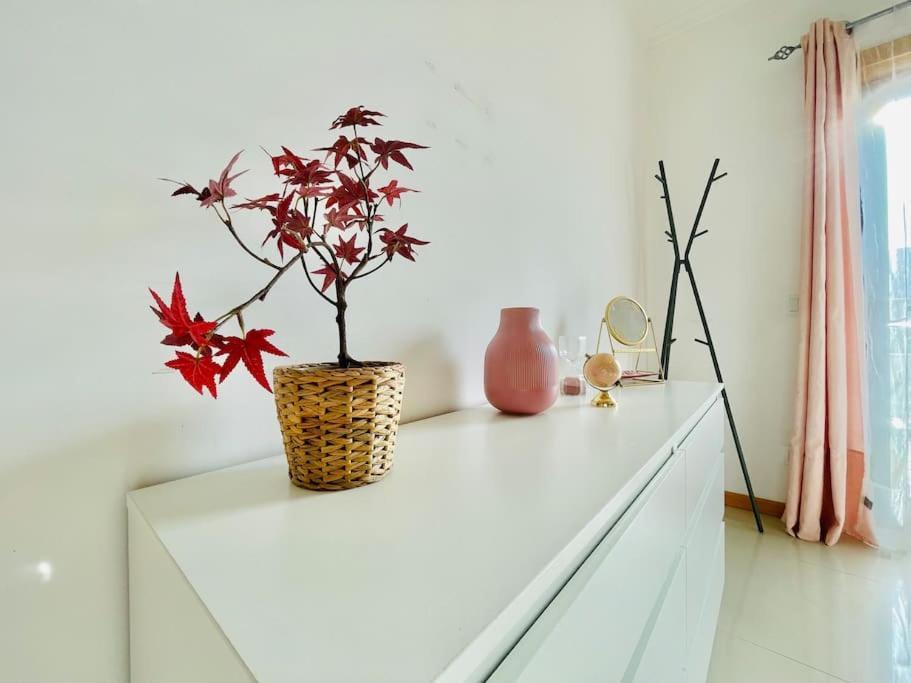 Peradoce - Beach 150M - Terrace - Private Parking Apartment Armacao de Pera Ngoại thất bức ảnh